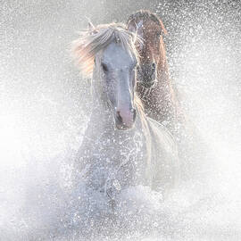 Surreal Chase in Color. by Paul Martin