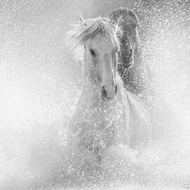 Surreal Chase in Dynamic Greyscale. by Paul Martin