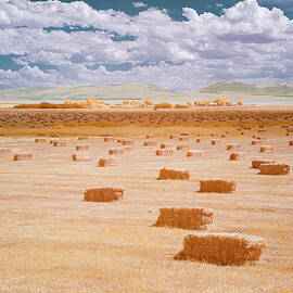 Surreal Shades of Hay by Mike Lee