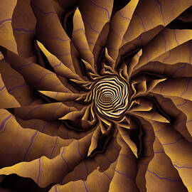 Surrounded by Vic Eberly