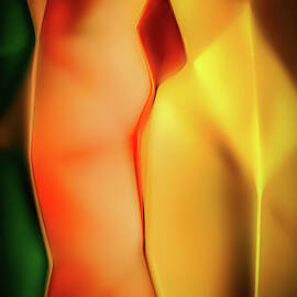 Survivors by Ursula Abresch