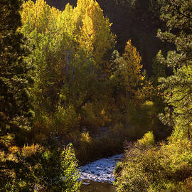 Susan River Autumn Vista by Mike Lee