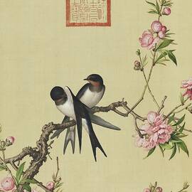 Swallows and peach blossom - Chinese flower and bird paintings by Giuseppe Castiglione by Giuseppe Castiglione Lang Shining
