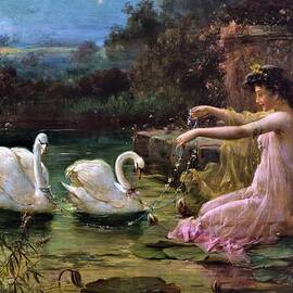Swan at the lake - Digital Remastered Edition Poster by Hans