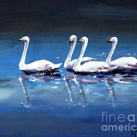 Four Swans Swimming In Pond by Wan Weisheng