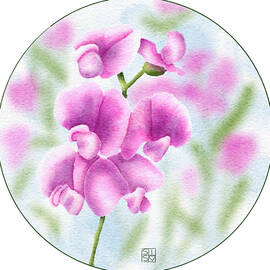 Sweet Pea Flowers in Bloom by Snow Iris Studio