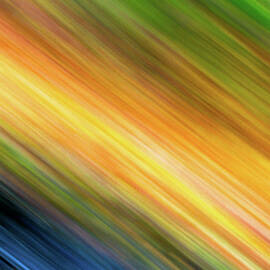 Swing. by Jeff Sinon