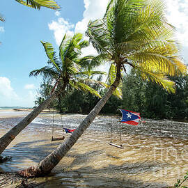 Swinging Under The Palm Trees, Loiza, Puerto Rico by Beachtown Views