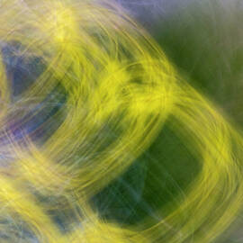 Swirling Flowers by Mary Lee Dereske