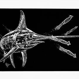 Sword and Squid by Mark Ray