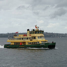 Sydney Ferry Alexander by Richard Reeve