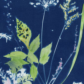 Symphony of Blossoms by Elizabeth Reich