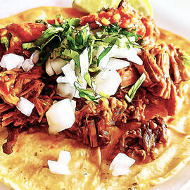 Taco Al Pastor by William Scott Koenig