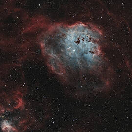 Tadpole Nebula by Brian Weber