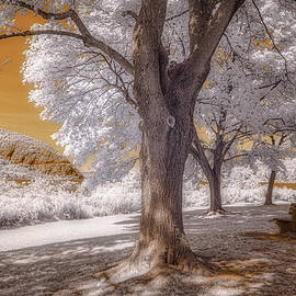 Take a Rest by Penny Polakoff