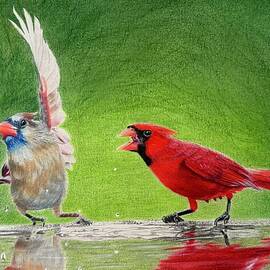 Talk to the Wing by Marlene Little