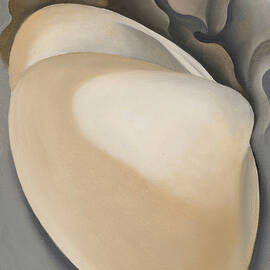 Tan Clam Shell with Seaweed by Georgia O'Keeffe by Georgia O'Keeffe