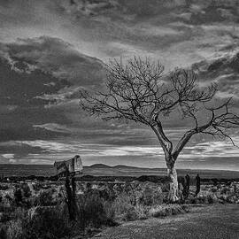 Taos, New Mexico - Welcome Tree by Robert Niemeier