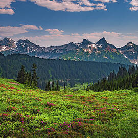 Tatoosh Range, Washington by Abbie Matthews
