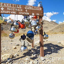 Teakettle Junction and road sign covered by kettles and pans, Death Valley National Park, California by Neale And Judith Clark