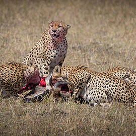 Teamwork by Jon Snyder