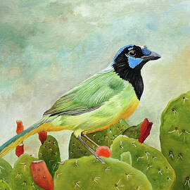 Texan Green Jay by Angeles M Pomata