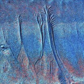Textured Sand Patterns in Blue by Bruce Block