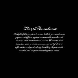 The 4th Amendment by Flippin Sweet Gear
