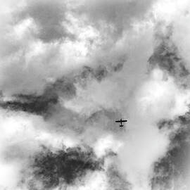 The Airplane and I by Mary Lee Dereske