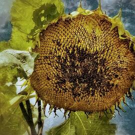 The Autumn Sunflower  by Mary Lee Dereske