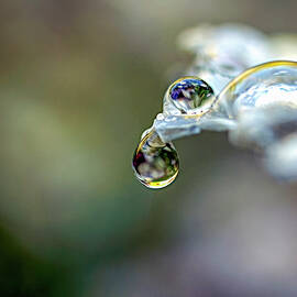 The Balance by Joe Schofield