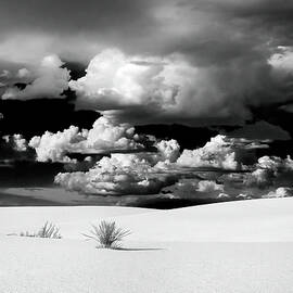 The Black and White Sands and Clouds by Joe Schofield
