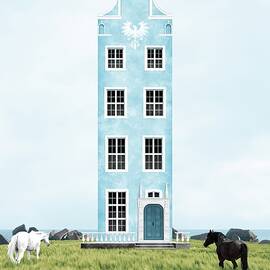 The Dream of the Blue House by Moira Risen