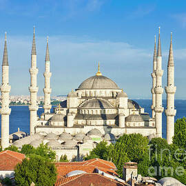 The Blue Mosque, Sultanahmet, Istanbul, Turkey by Neale And Judith Clark