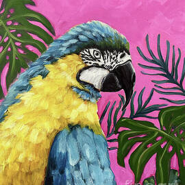 The Blue Parrot by Lucia Stewart