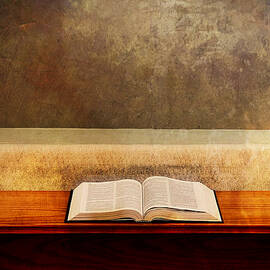 The Book  by Mary Lee Dereske