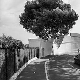 The Boulevard by Steven Nelson