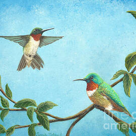 The Challenge by Sarah Irland