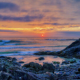 The Cliffs of Marginal Way by Penny Polakoff