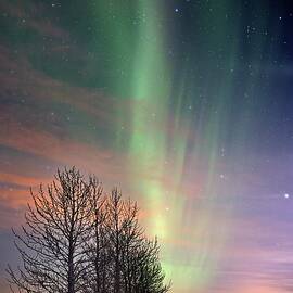The colors of night by Christopher Mathews