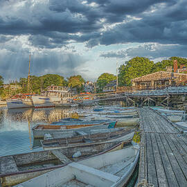 The Cove by Penny Polakoff