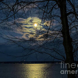 The December Cold Moon by William Norton