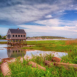 The Famous Fish House by Penny Polakoff