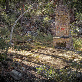 The Fireplace in the Woods of Madera Canyon  by Mary Lee Dereske