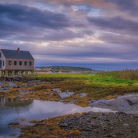 The Fish House by Penny Polakoff
