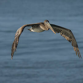 The Fisherman by Jon Snyder
