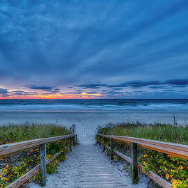 Morning Light by Penny Polakoff