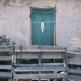 The Forgotten by Mary Lee Dereske