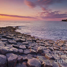 The Giants Causeway sunset, Northern Ireland by Neale And Judith Clark