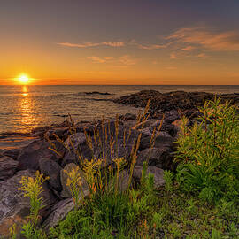 The Gift of the Day by Penny Polakoff